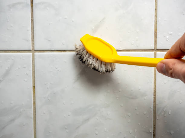 Mold Testing and Removal in Clarendon, TX