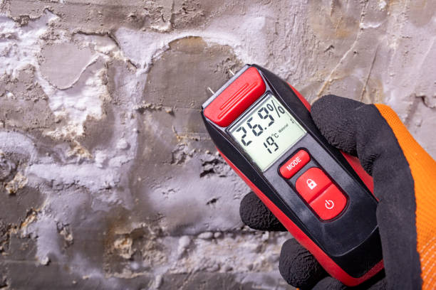 Best Emergency Mold Removal  in Clarendon, TX