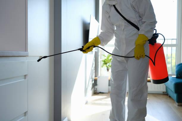 Best Local Mold Removal Service  in Clarendon, TX
