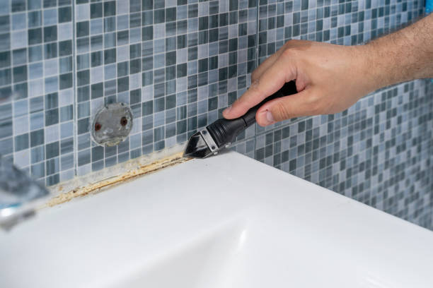 Best Attic Mold Removal  in Clarendon, TX