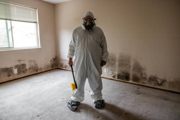 Mold Removal and Inspection in Clarendon, TX